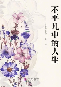 不平凡中的人生