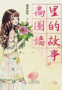 高圍墻里的故事