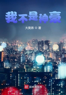 我不是神豪（苏辰）在线阅读