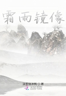 霜雨鏡像