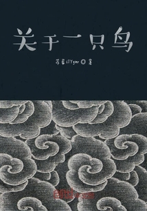 關(guān)于一只鳥