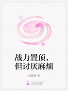 戰力置頂，但討厭麻煩在線閱讀