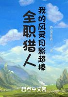 全职猎人：我的风灵月影超棒在线阅读