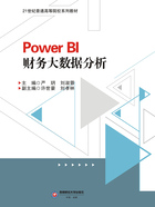 Power BI财务大数据分析