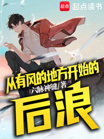 從有風的地方開始的后浪