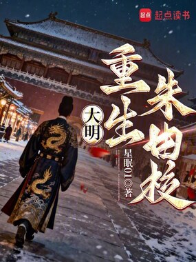 大明，重生朱由校在线阅读