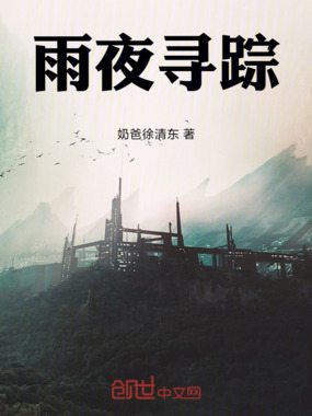 雨夜寻踪在线阅读