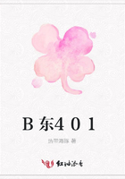 B東401在線閱讀