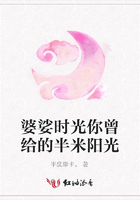 婆娑时光你曾给的半米阳光在线阅读