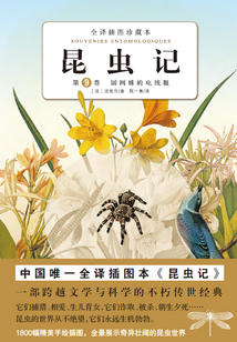 昆蟲記：圓網蛛的電線報（第9卷）
