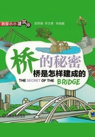 橋的秘密：橋是怎樣建成的在線閱讀