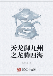 天龍御九州之龍騰四海