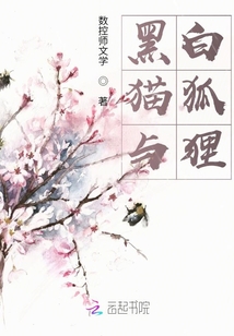 黑貓與白狐貍