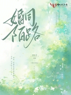 婚同陌路在线阅读