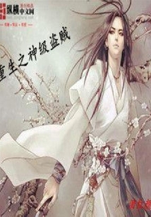 重生之神級盜賊
