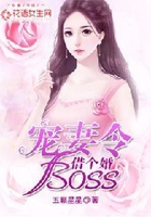 宠妻令:boss,借个婚!