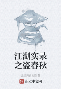 江湖實(shí)錄之盜春秋
