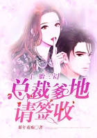 一胎三宝:总裁爹地请签收在线阅读