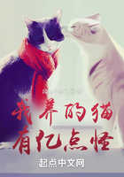 我养的猫，有亿点怪