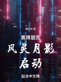 賽博朋克，風靈月影，啟動！