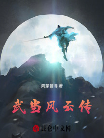 武當風云傳