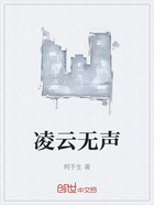 凌云无声在线阅读