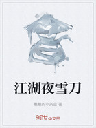 江湖夜雪刀在线阅读