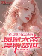 重生校花的鸟,凤凰大帝涅槃焚世在线阅读