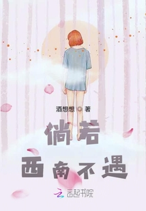 倘若西南不遇