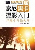索尼黑卡摄影入门:巧用卡片拍大片在线阅读