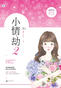 小情劫2