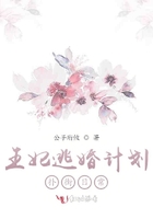 王妃逃婚計劃撲街日常在線閱讀
