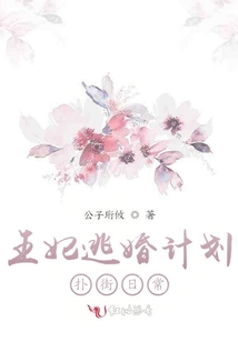 王妃逃婚計(jì)劃撲街日常