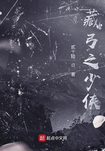 藏弓之少俠