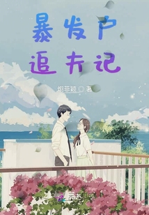 暴發戶追夫記
