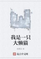 我是一只大懒猫在线阅读