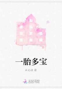一胎多寶