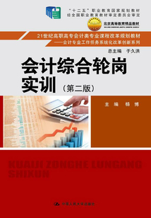 會計綜合輪崗實訓（第二版）