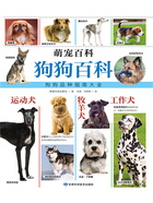 狗狗百科(萌宠百科)在线阅读