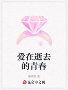 爱在逝去的青春在线阅读