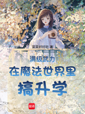满级武力在魔法世界里搞升学在线阅读