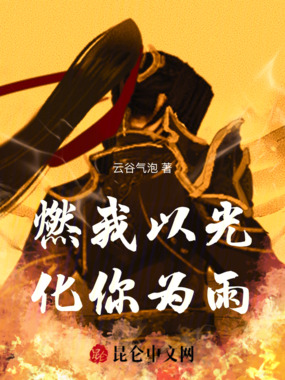 燃我以光，化你为雨在线阅读