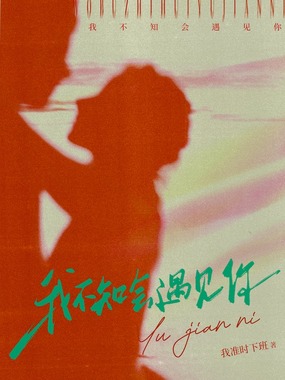 我不知会遇见你在线阅读