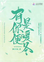 有你便是暖冬在線閱讀