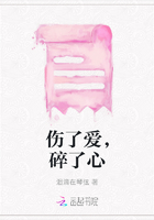 伤了爱,碎了心在线阅读
