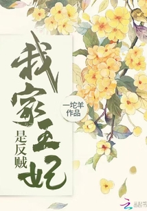 我家王妃是反賊