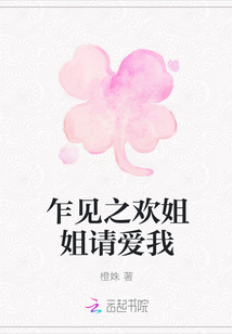 乍见之欢姐姐请爱我