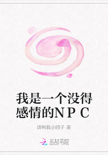 我是一个没得感情的NPC