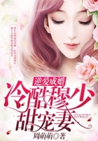 逆爱成婚:冷酷穆少甜宠妻在线阅读
