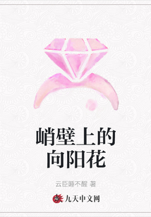 峭壁上的向陽花